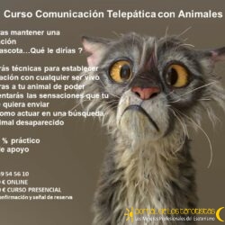 CURSO COMUNICACION TELEFPATICA ONLINE AGOS 2022
