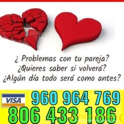 5be3f5a1-2cee-4677-917f-f26f949df67d