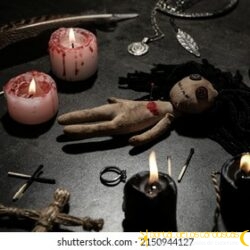 female-voodoo-doll-pin-heart-260nw-2150944127