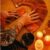 Screenshot_20250430_222204_Google