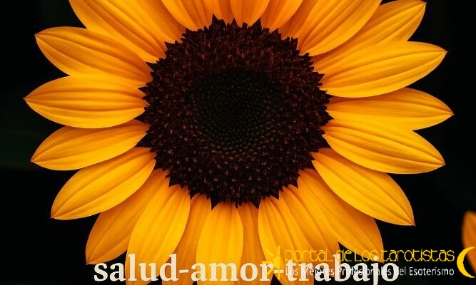 tarot-videncia