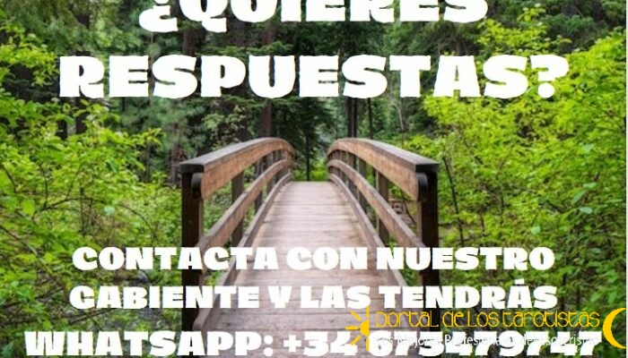 ¿QUIERES RESPUESTAS(1)