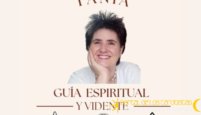 logo canal youtube logo canal youtube