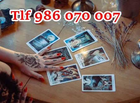 986070007 (3) 986070007 (3)