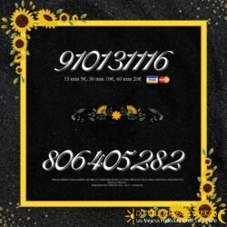 videncia tarot 806