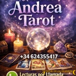 ChatGPT Image 12 ene 2026, 13_58_47 (1)