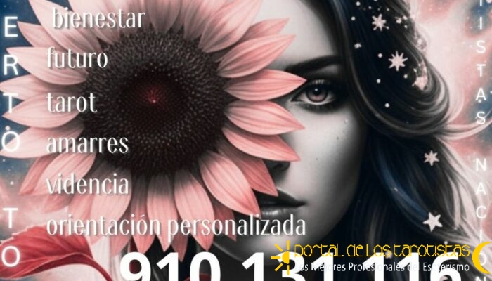 910 131 116(1) 910 131 116(1)