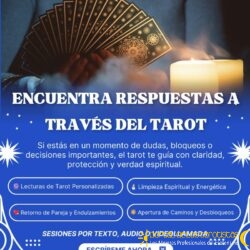 WhatsApp Image 2026-02-05 at 3.59.25 PMñpñp