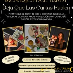 WhatsApp Image 2026-02-05 at 3.59.25 PM