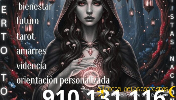 910 131 116.