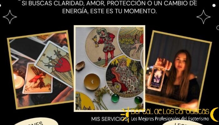 WhatsApp Image 2026-02-05 at 3.59.25 PM WhatsApp Image 2026-02-05 at 3.59.25 PM