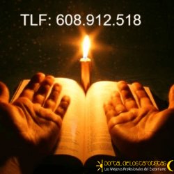 Screenshot 2026-03-12 at 00-11-20 SANACIÓN A DISTANCIA 608912518