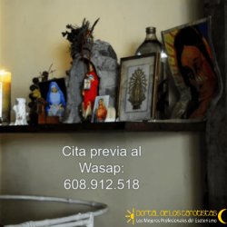 Screenshot 2026-03-12 at 10-48-20 553402.png (Imagen PNG 443 × 444 píxeles)