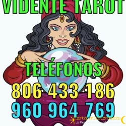 029cff37-9096-4ff8-a163-9decfdd2c046