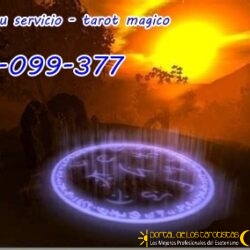 972 (41)