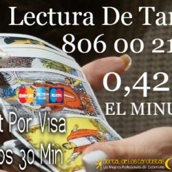 _adivina-usando-cartas-del-tarot_15695624_detail