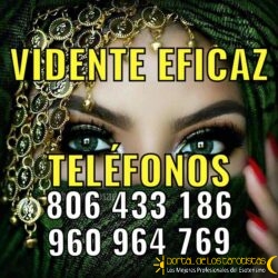 65ef4dae-c17a-4115-a378-f713aa6fcf80