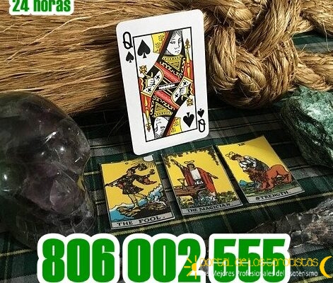 806002555 (3)