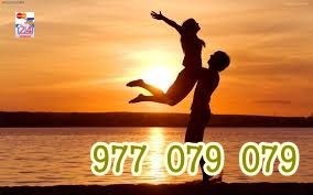 977079079 (1)