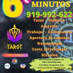 0-tarot-a-tan-solo-6-euros-1786060115-6a751d53600e8