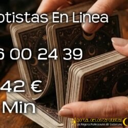 99c63498432478053ce95f5a560d7f8f